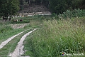 VBS_5454 - C'è un mare di velluto verde! E tu che sognavi di andare lontano... Quanta meraviglia, quì!